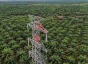 Akselerasi Transisi Energi Bersih, PLN Dorong Interkoneksi ASEAN Power Grid