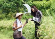 Bawa Efek Positif, Pembiayaan KUR BRI Terbukti Dorong Kenaikan Omzet UMKM hingga Double Digit