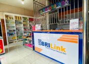 BRILink Agen Jadi Jalan Ibu Rumah Tangga Ini Bangun Usaha dan Ciptakan Lapangan Kerja di Desa
