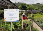 BRI Berdayakan Lebih dari 42 Ribu Klaster Usaha