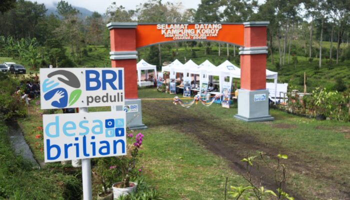 Jangkau 5.245 Desa BRILiaN, BRI Perluas Dukungan bagi Pengembangan Ekonomi Desa