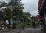 Pertamina Patra Niaga Regional JBB Cepat Tangani Insiden Pohon Tumbang Menimpa Sarfas SPBU 34.104.02 Jakarta Pusat