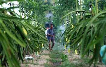 Berkat Program Klasterku Hidupku BRI, Sukses Sentuh Pasar Lebih Luas
