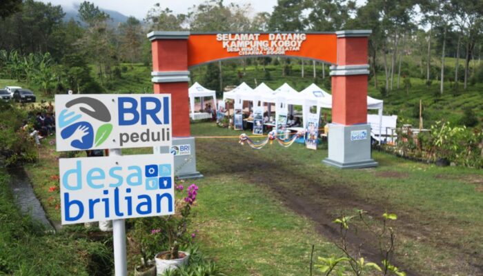 BRI Kembali Gelar Program Desa BRILiaN 2026