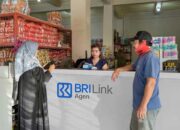 Perkuat Ekonomi Kerakyatan, BRILink Agen “Rieche Endah” Bantu Permudah Transaksi Perbankan Warga hingga Ciptakan Peluang Usaha di Sumbawa