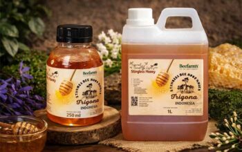 BeeFam’s Kembangkan Usaha Madu Trigona di Jakarta Barat melalui LinkUMKM BRI