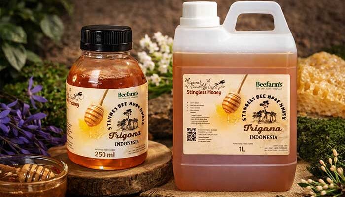 BeeFam’s Kembangkan Usaha Madu Trigona di Jakarta Barat melalui LinkUMKM BRI