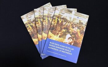 Ini Link Akses Gratis, Buku Panduan Ayam Petelur Cage-Free Pertama Terbit di Indonesia