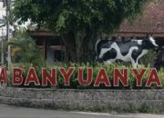 Intip Kisah Desa Banyuanyar, Desa Ramah Lingkungan yang Terus Maju Lewat Pemberdayaan Desa BRILiaN