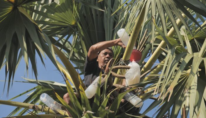 Mengenal Desa BRILian Sumowono, Desa Sayur yang Tumbuh dan Terus Berinovasi Bersama BRI