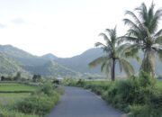 Berbasis Gotong Royong, Desa Manemeng Perkuat Ekosistem Ekonomi Kerakyatan melalui Program Desa BRILiaN