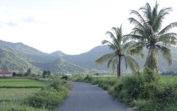 Berbasis Gotong Royong, Desa Manemeng Perkuat Ekosistem Ekonomi Kerakyatan melalui Program Desa BRILiaN