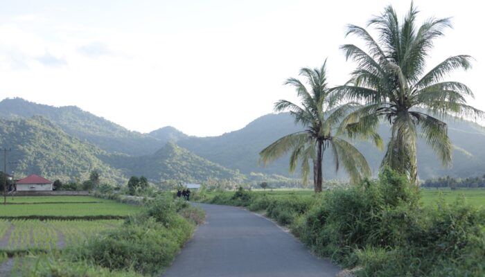 Berbasis Gotong Royong, Desa Manemeng Perkuat Ekosistem Ekonomi Kerakyatan melalui Program Desa BRILiaN