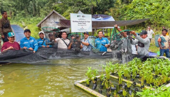Investasi Industri Dorong Kayong Utara Tumbuh, Serap 1.800 Tenaga Kerja Lokal
