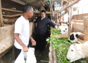 BRI Sukaraja: Sahabat Peternak Desa